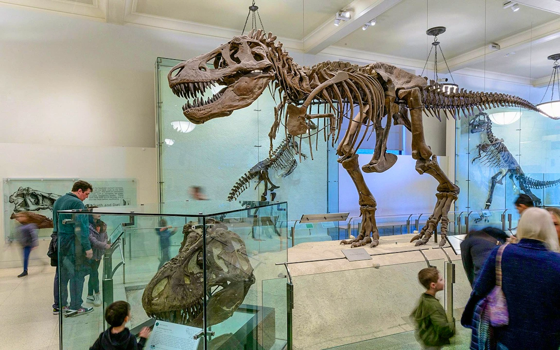 The Field Museum of Natural History Ticket Location